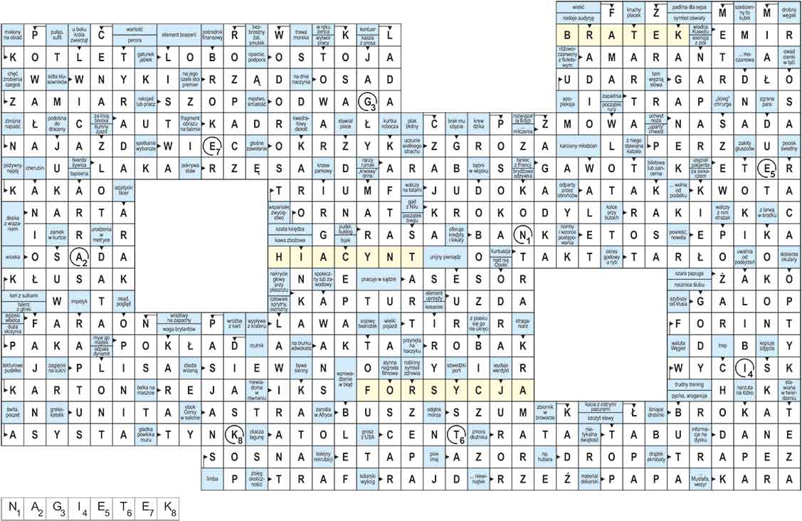 R_re_13_2425_panorama