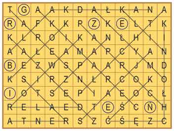 R_zg_13_37_wykr