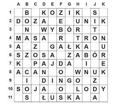 R_sil_13_28_ameryka