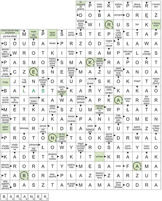 R_CC_13_33_pan_S┼üOWO