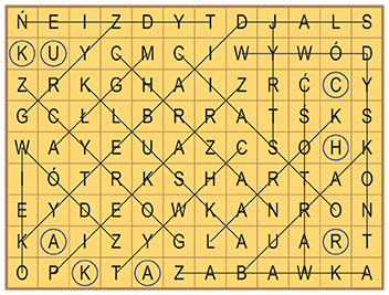 R_zg_16_33_wykr