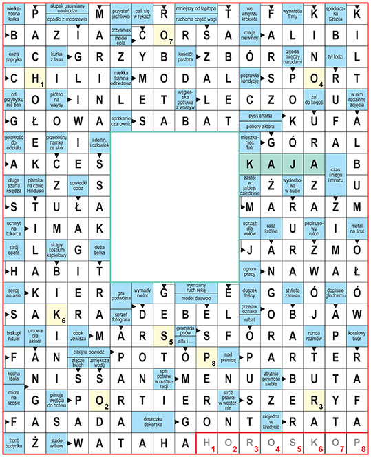 R_zg_16_34_gwiazda_Kaja