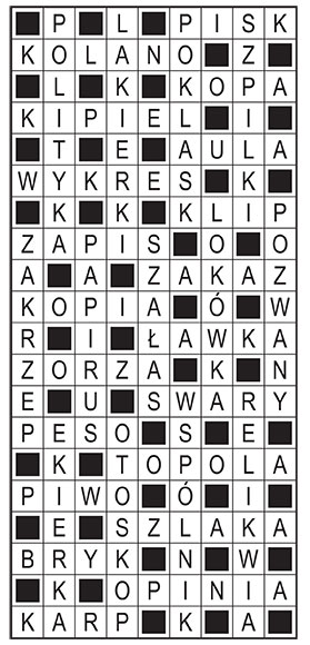 R_im_17_s27_szyfrpion