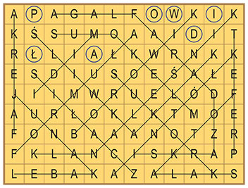 R_zg_17_33_wykr