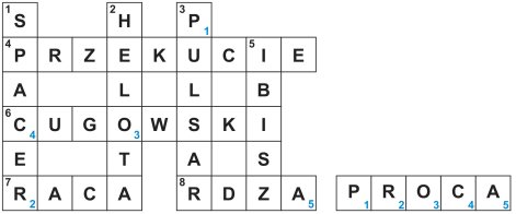 Rdt_24_33_na_minutke