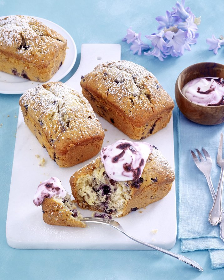 F8338702-Kleine Blaubeer-Kastenkuchen