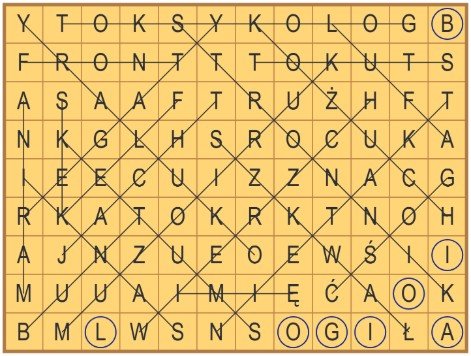 33_wykr