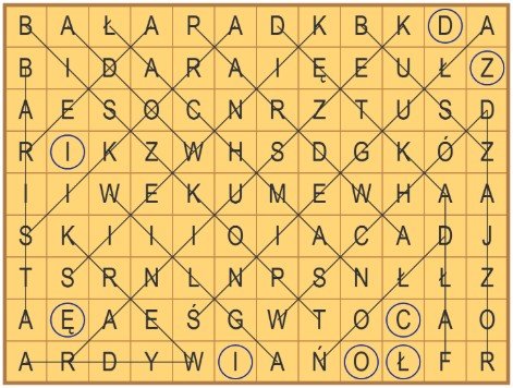 37_wykr