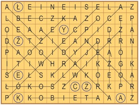 33_wykr