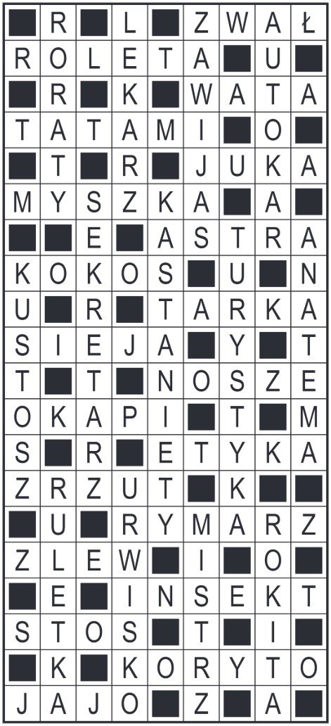 27_szyfrpion