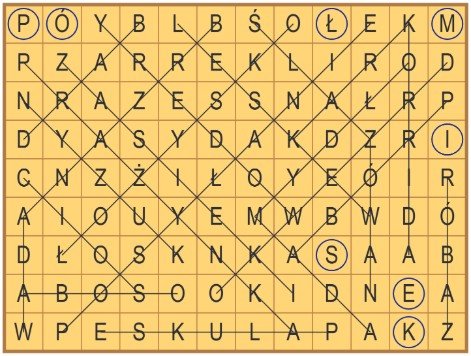 37_wykr