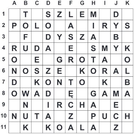 28_AMERYKA